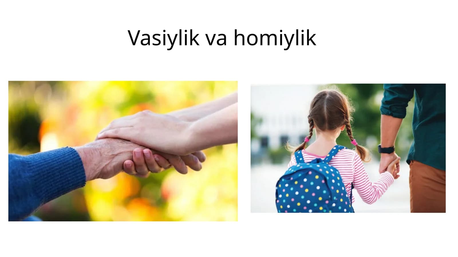 Vasiylik va homiylik