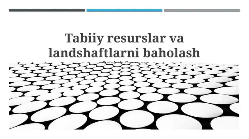 Tabiiy resurslar va landshaftlarni baholash