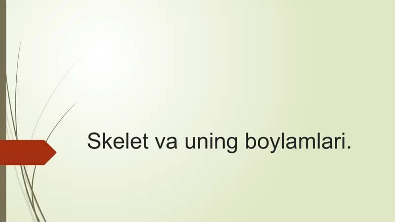Skelet vauning boylamlari