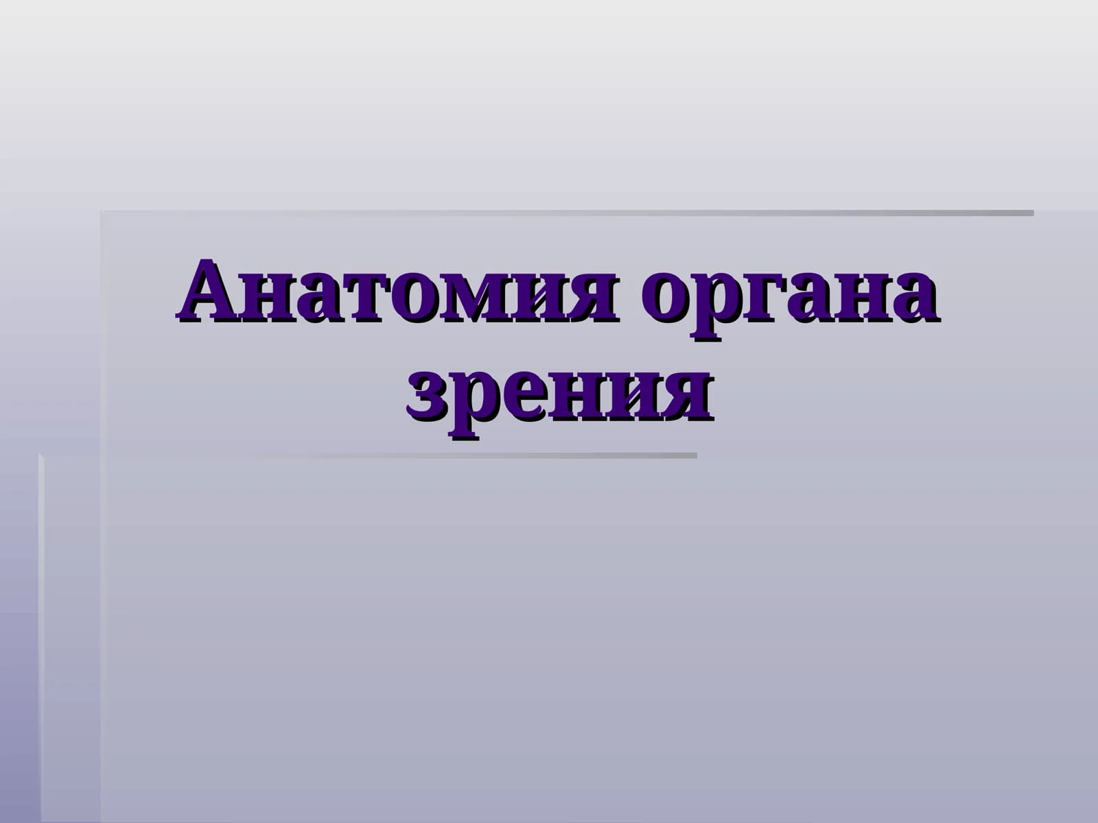 Анатомия органа зрения