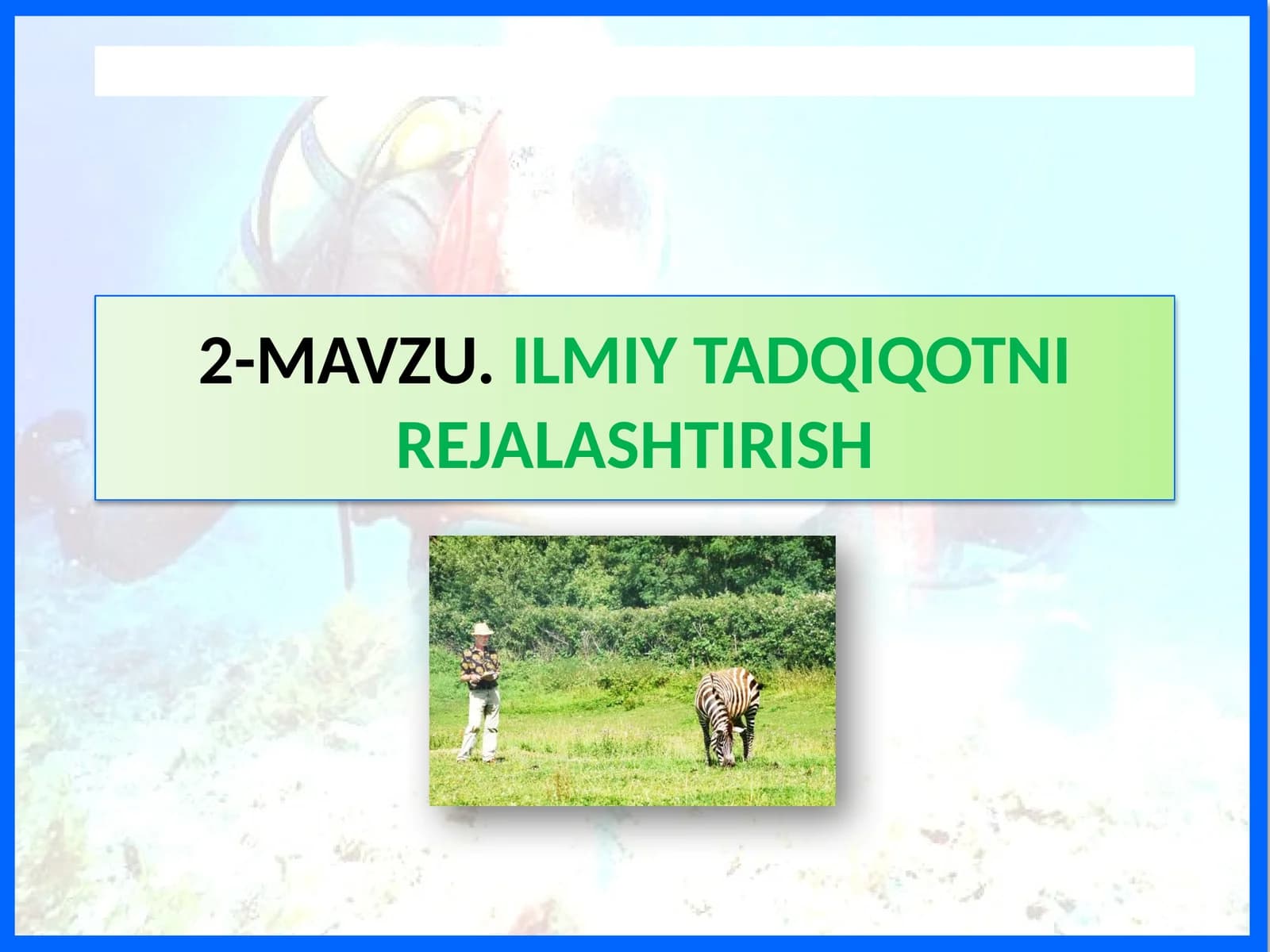 Tadqiqotni rejalshtirish