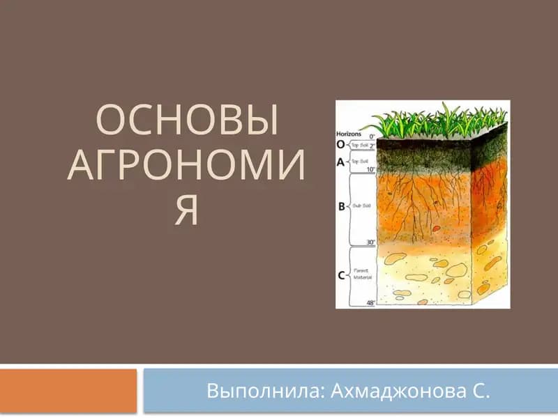 ОсновыАгрономия