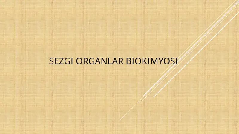 Sezgi organlar biokimyosi