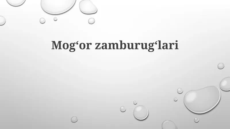 Mogʻorzamburugʻlari