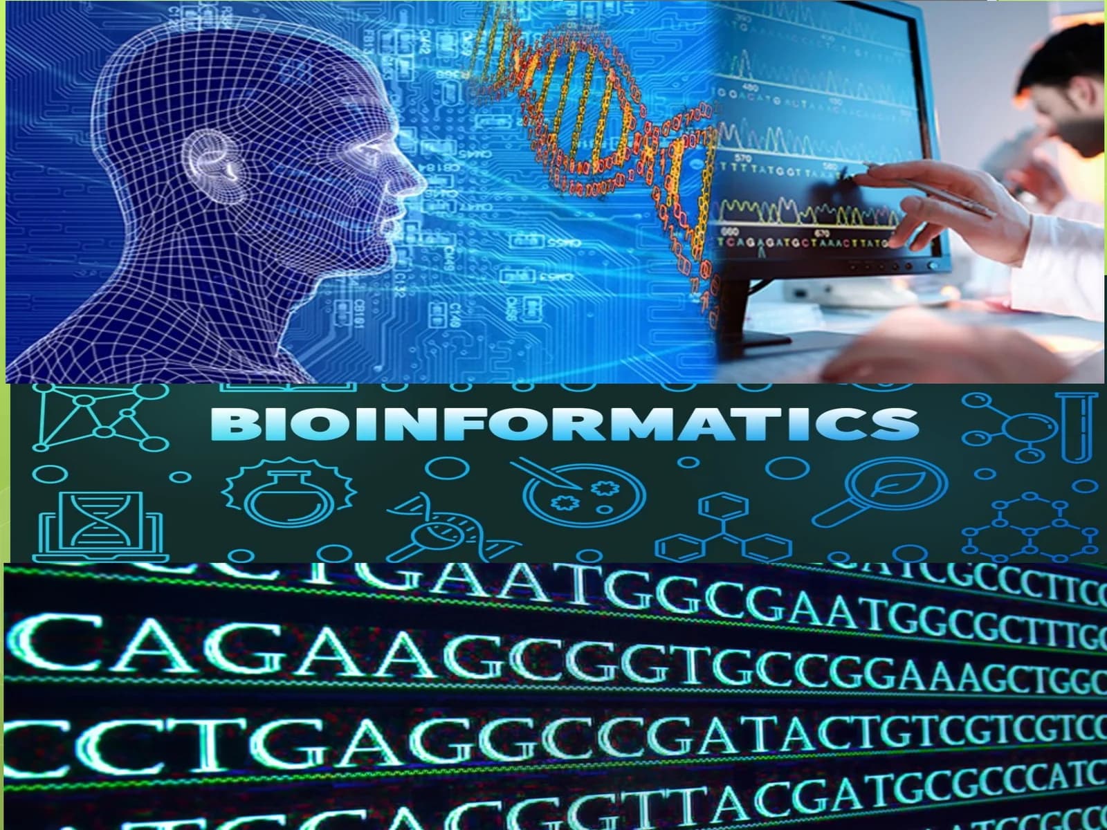 Zamonaviy bioinformatsion malumotlar bazalari