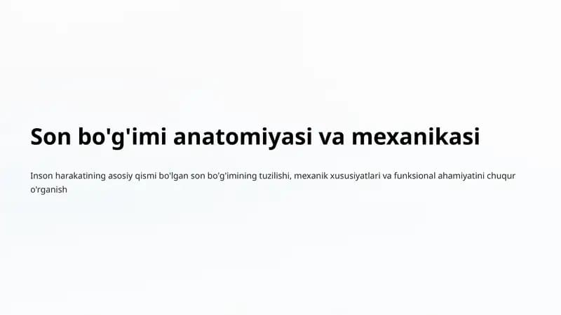 Son bo'g'imi anatomiyasi va mexanikasi