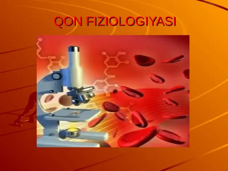 QON FIZIOLOGIYASI