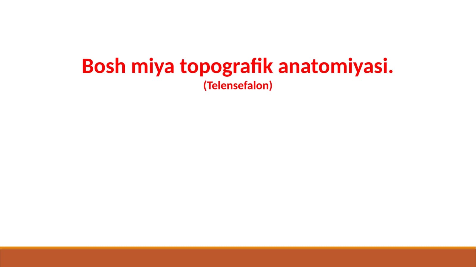 Boshmiyatopografikanatomiyasi
