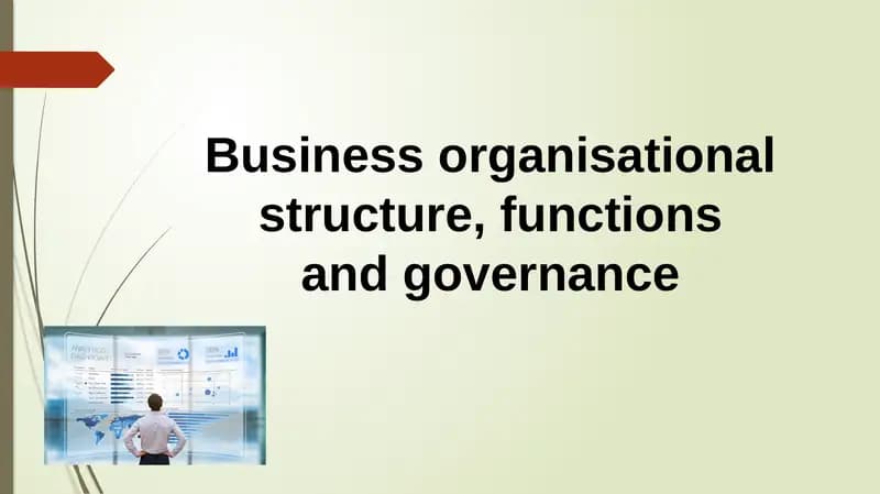 Business Organisational Structure, Functions and Governance