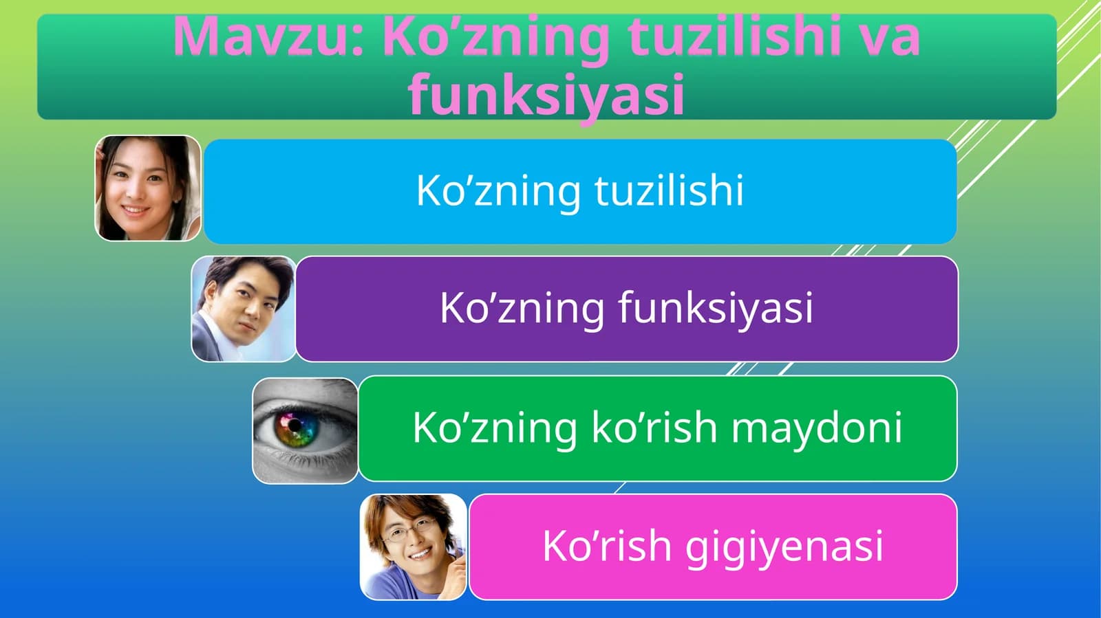 Ko’zning tuzilishi