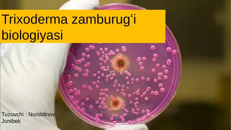 Trixodermazamburugʻibiologiyasi