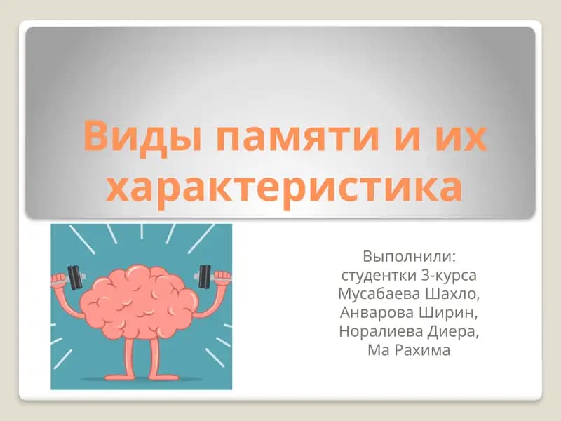 Виды памяти и их характеристика
