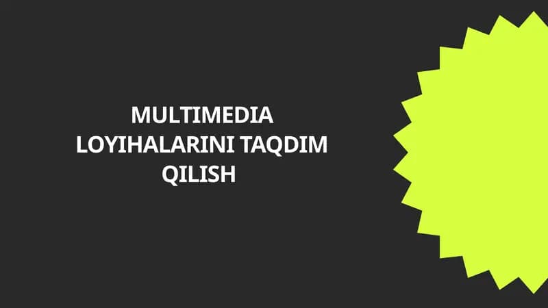 MULTIMEDIA LOYIHALARINI TAQDIM QILISH