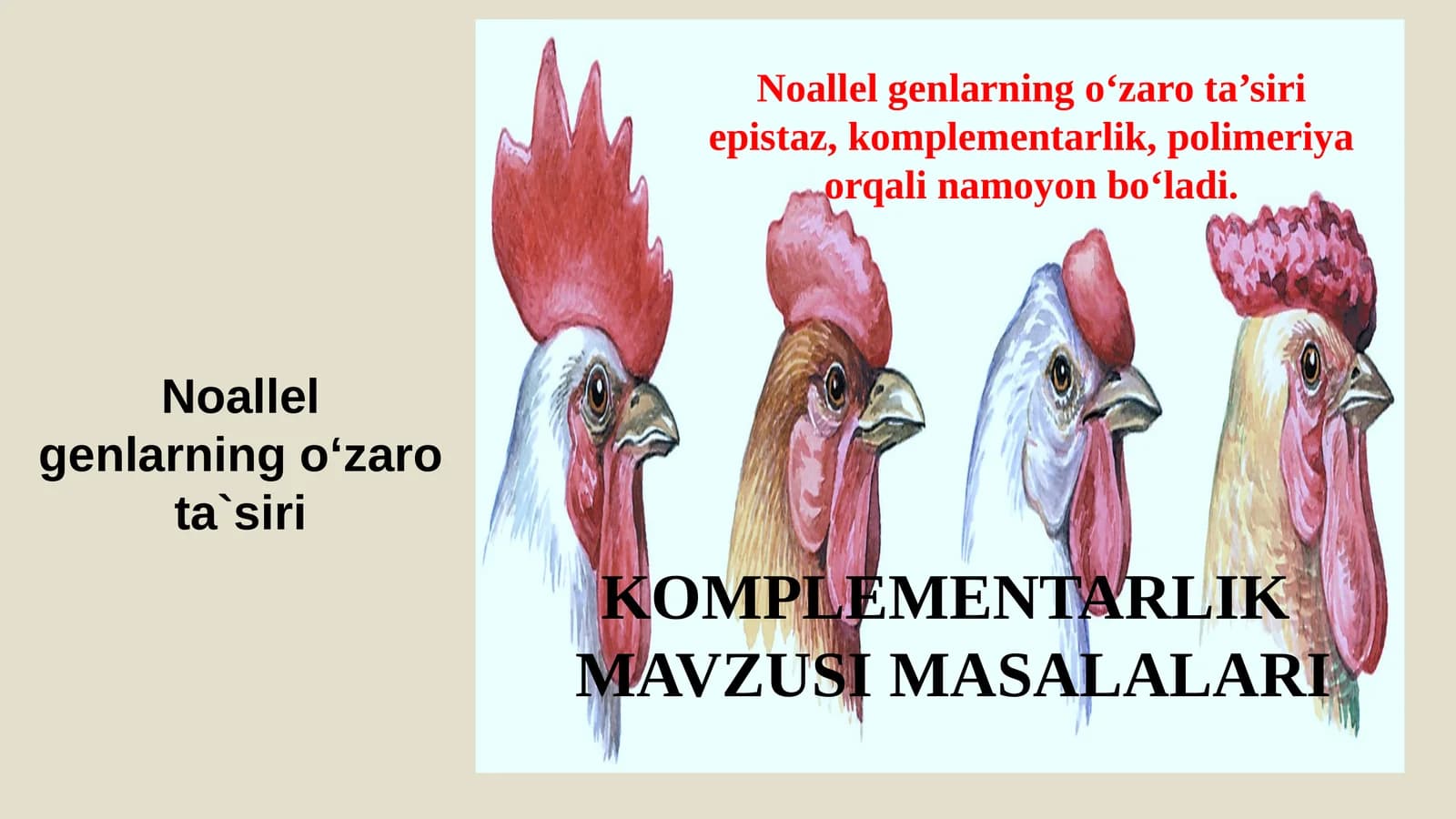 Komplementarlik MAVZUSI MASALALARI