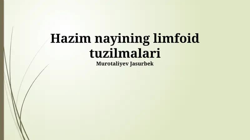 Hazim nayining limfoid tuzilmalari