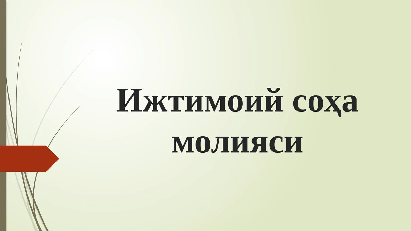 Ижтимоий соҳа молияси