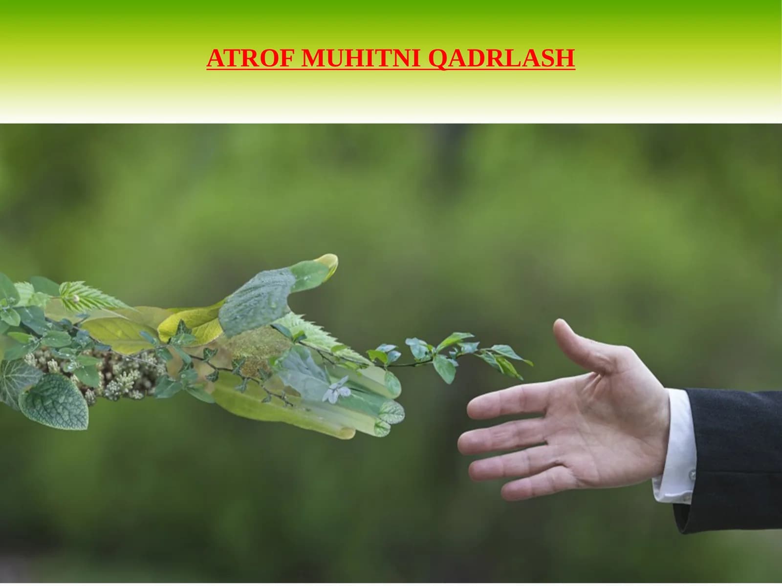 ATROF MUHITNI QADRLASH