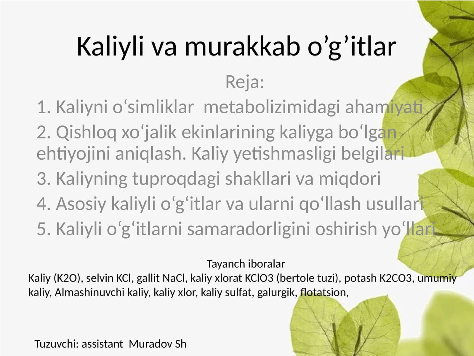 Kaliyli va murakkab o’g’itlar