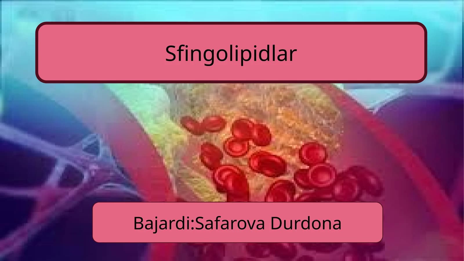 Sfingolipidlar