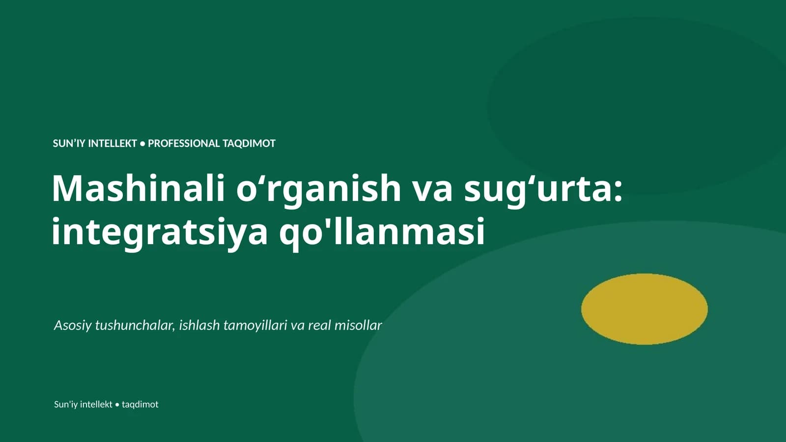 Mashinali oʻrganish va sugʻurta: integratsiya qo'llanmasi