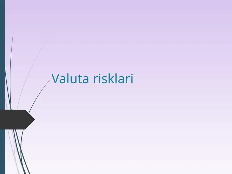 Valuta risklari