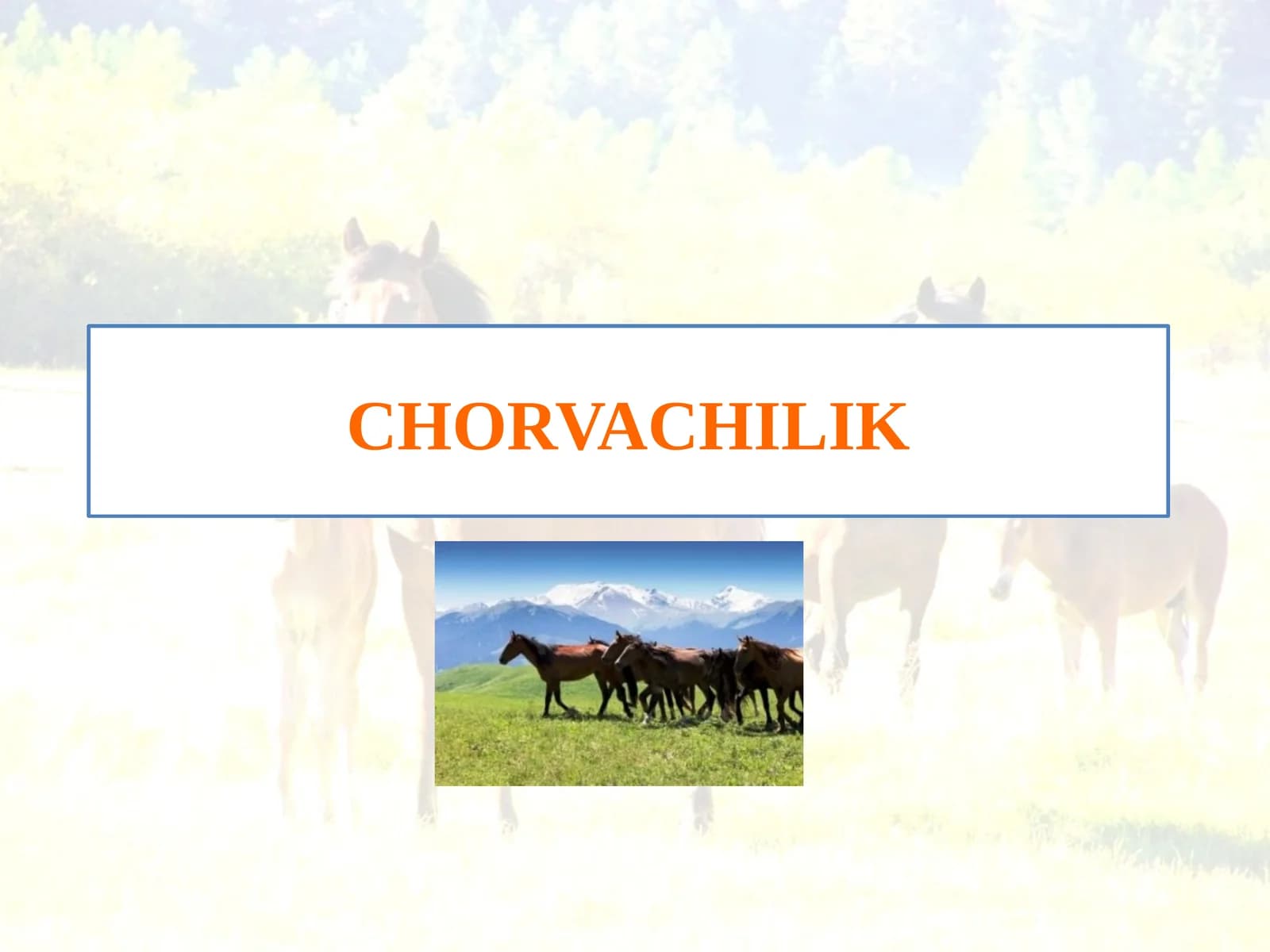CHORVACHILIK