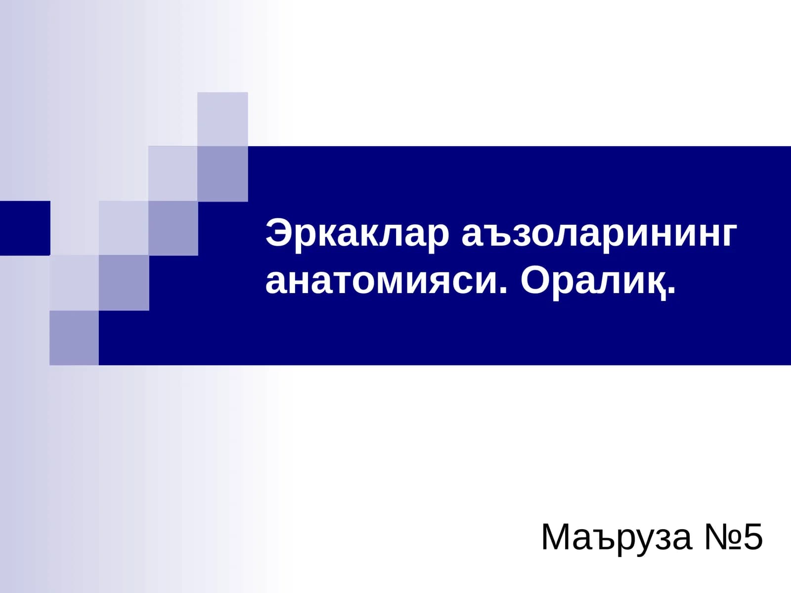Эркаклар аъзоларининг анатомияси. Оралиқ