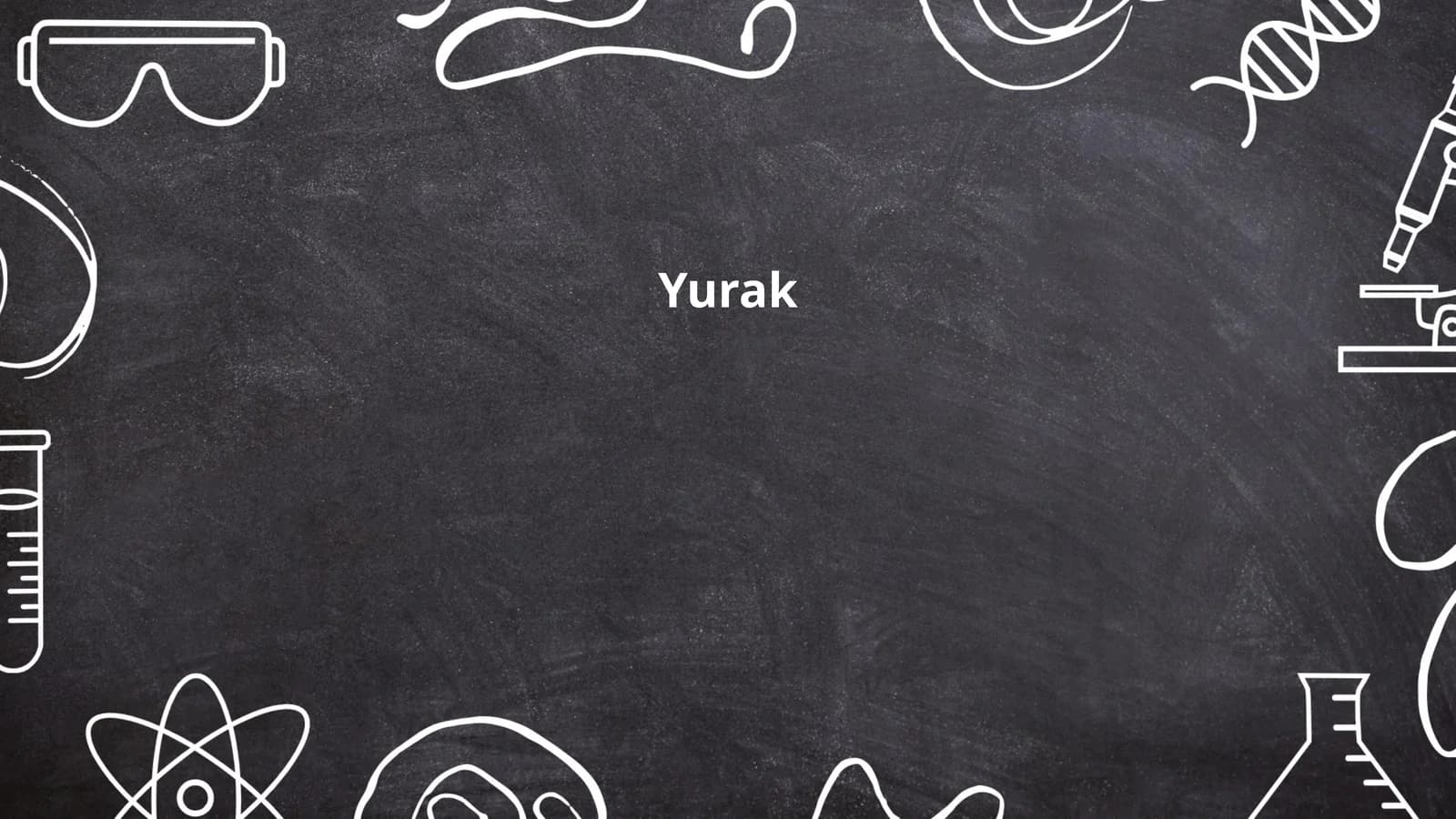 Yurak anatomiyasi