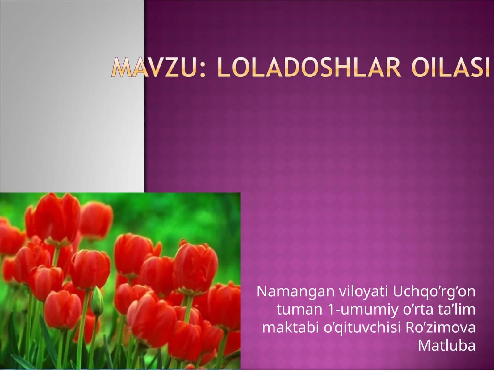 Loladoshlar oilasi