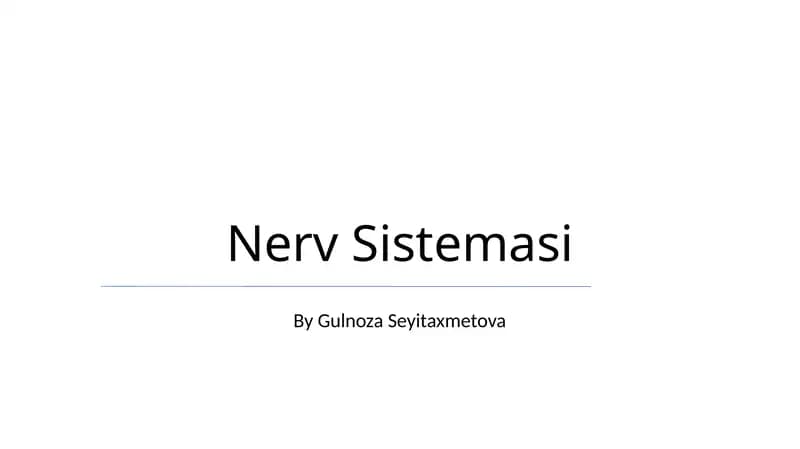 Nerv Sistemasi