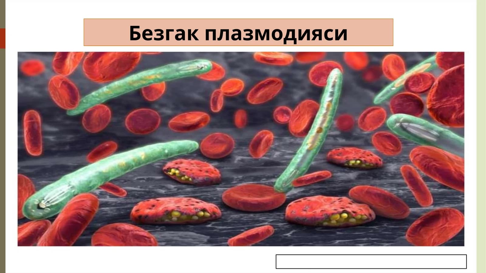 Безгакплазмодияси