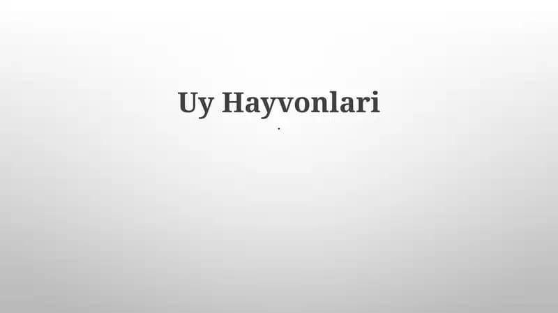 Uy Hayvonlari