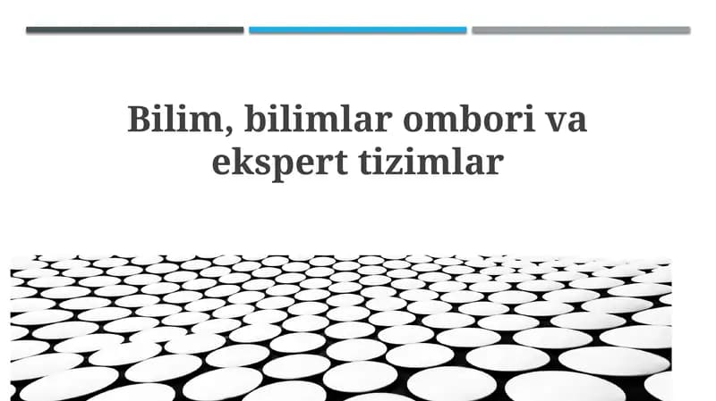 Ekspert Tizimlari