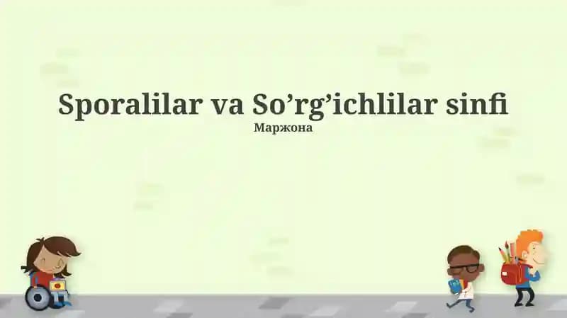 Sporalilar va So’rg’ichlilar sinfi