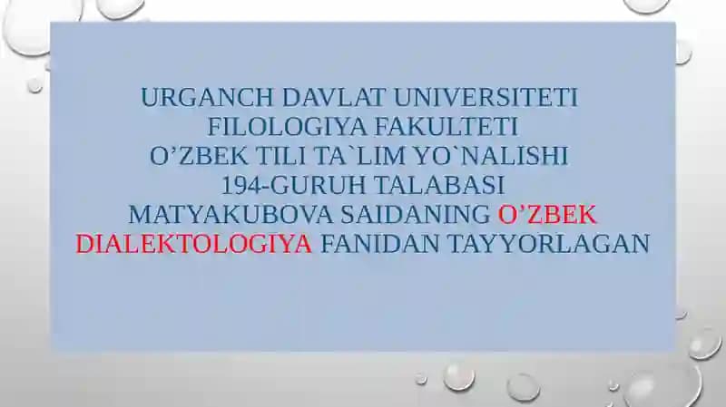 O'zbek tili shevalari leksikasi