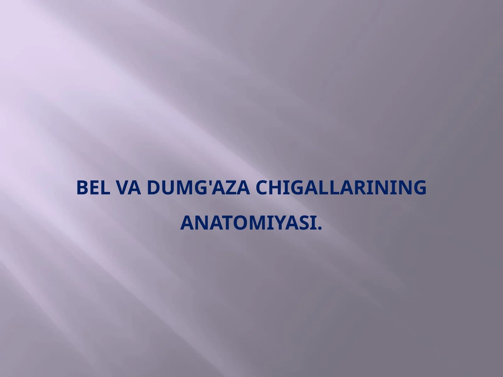 Belva dumg'aza chigallarining anatomiyasi