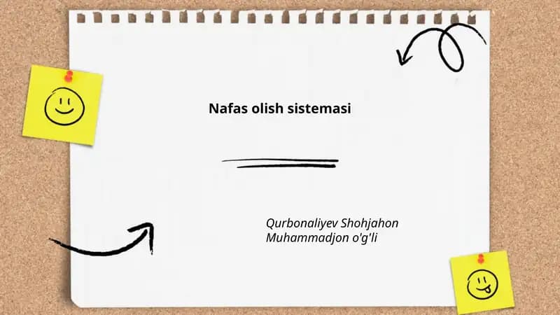 Nafas olish sistemasi
