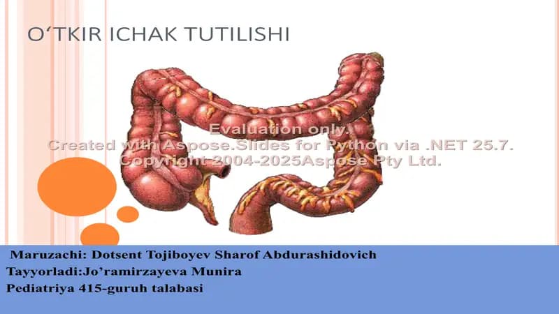 Ichak tutilishi
