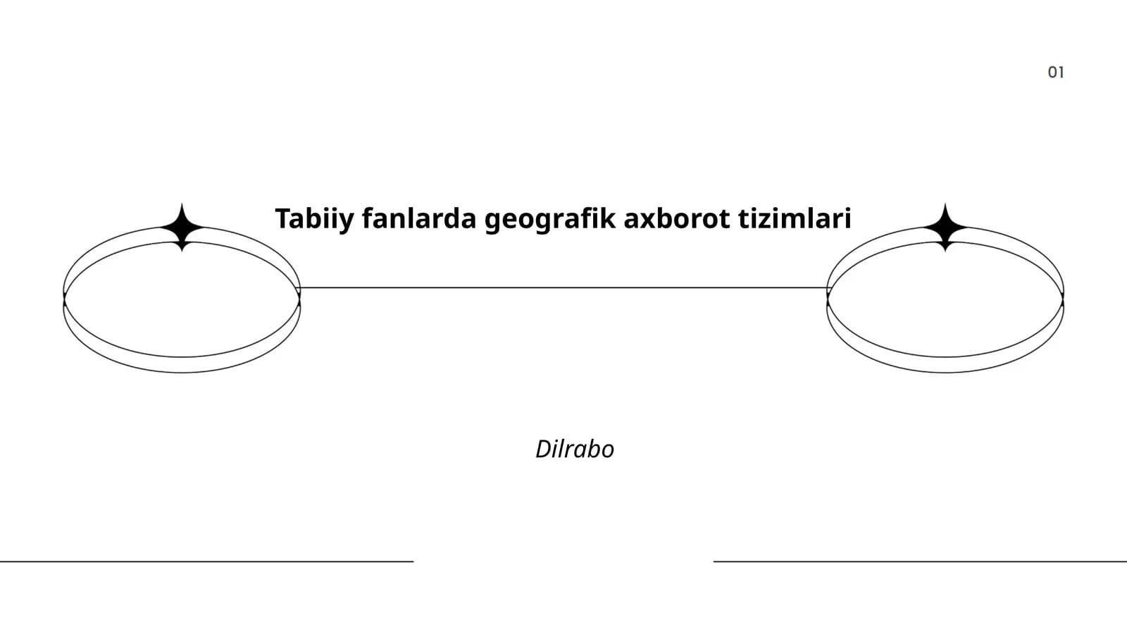 Geografik axborot tizimlari