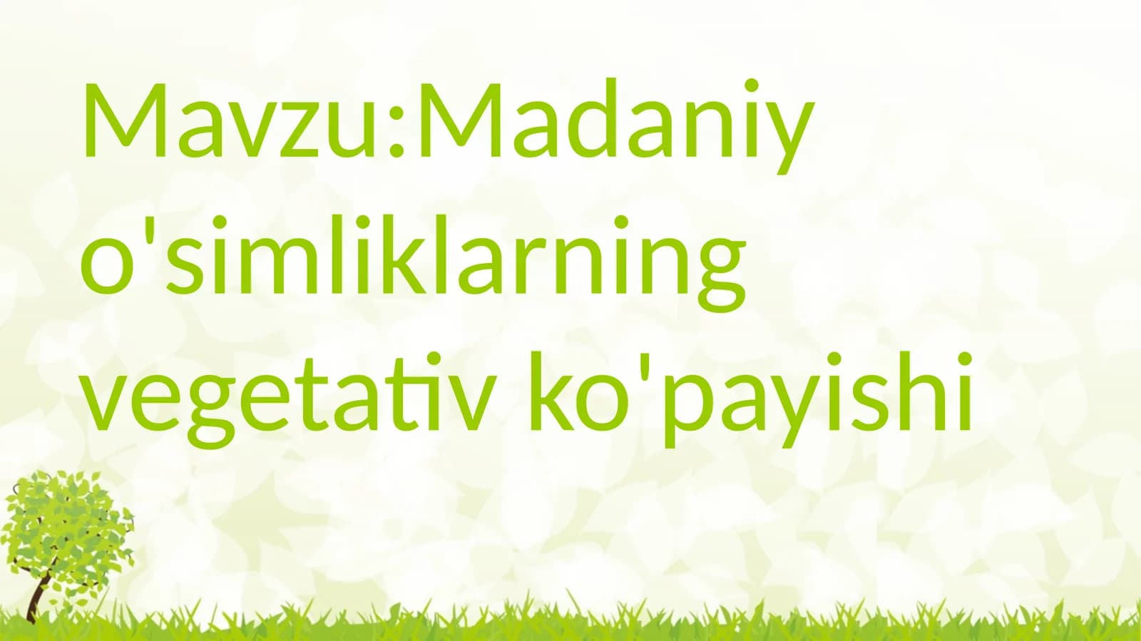 Madaniy o'simliklarning vegetativ ko'payishi