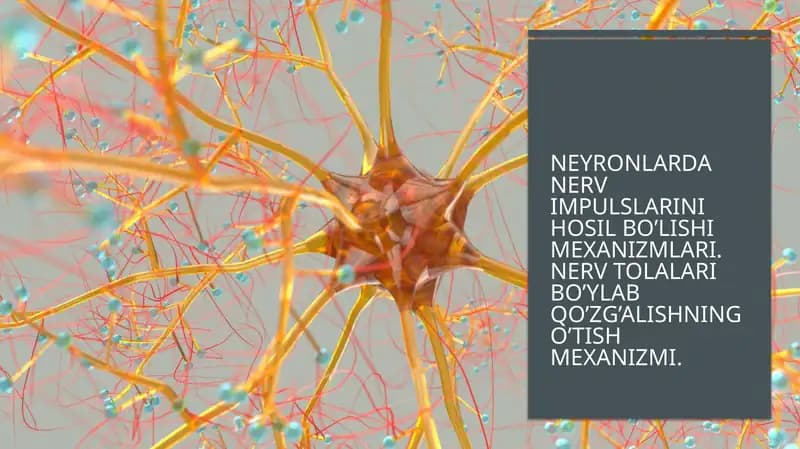 Nerv sistemasi