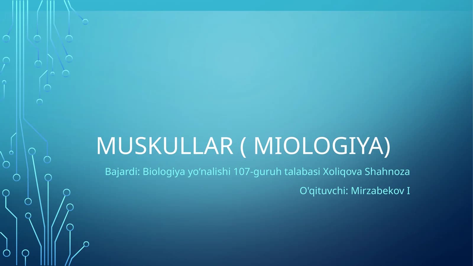Muskullar ( miologiya)