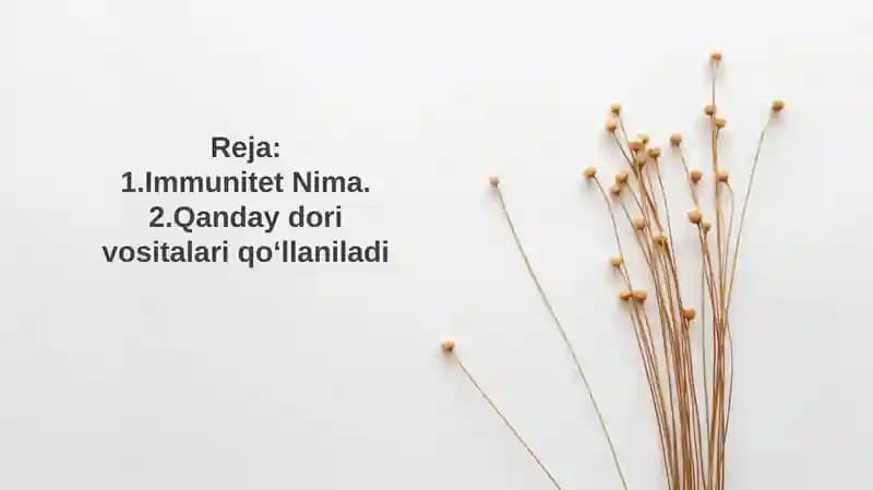 Immunitet