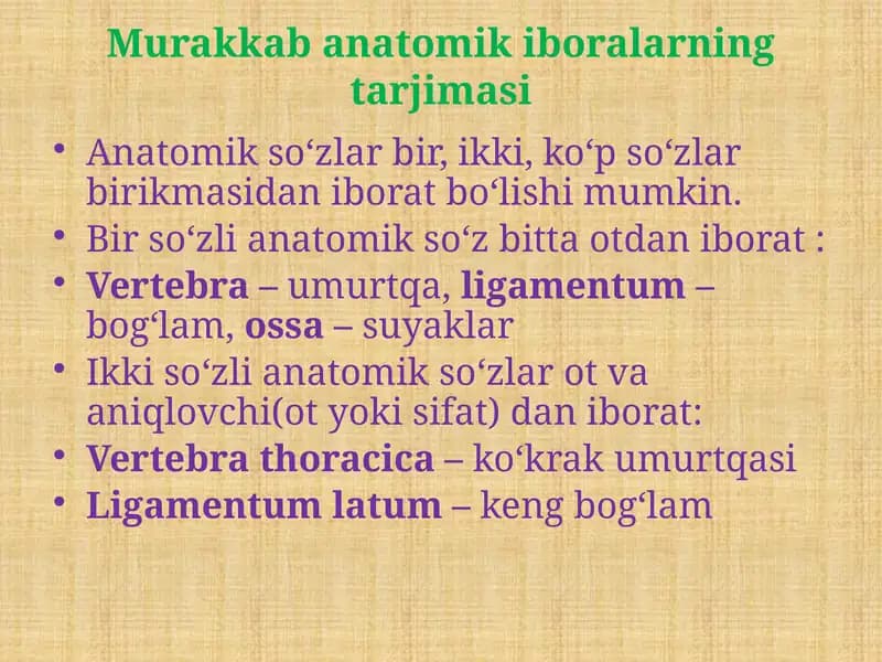 Murakkab anatomik iboralarning tarjimasi