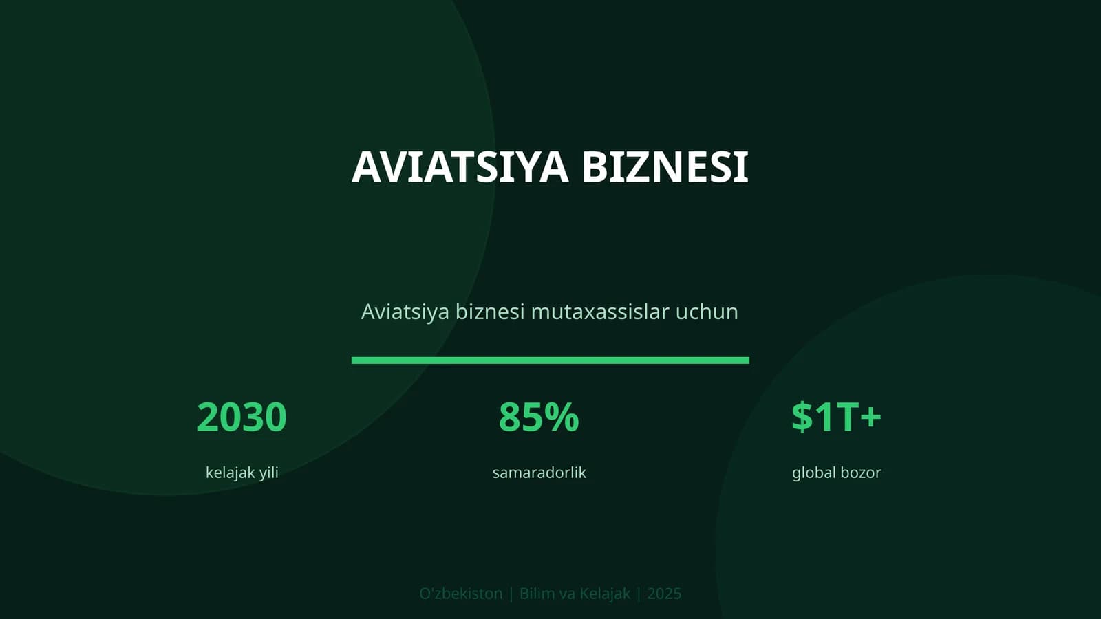 AVIATSIYA BIZNESI