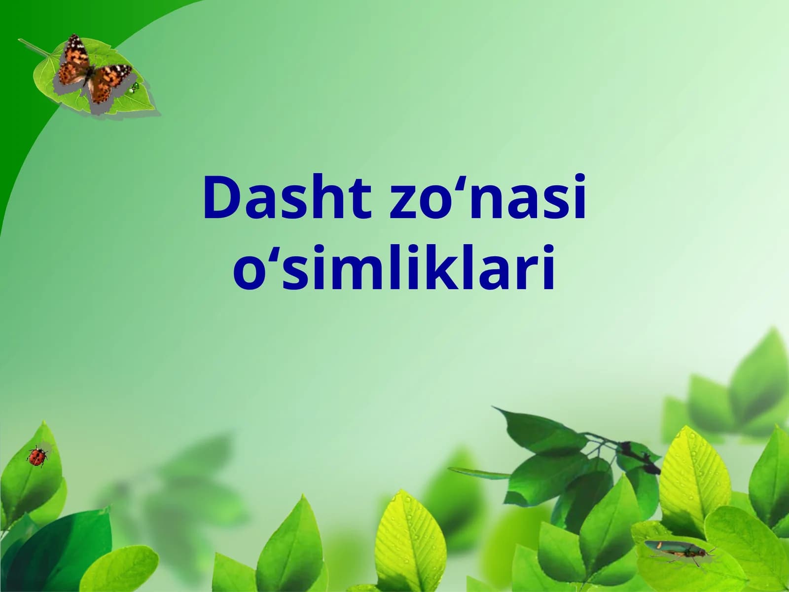 Dasht zoʻnasi oʻsimliklari