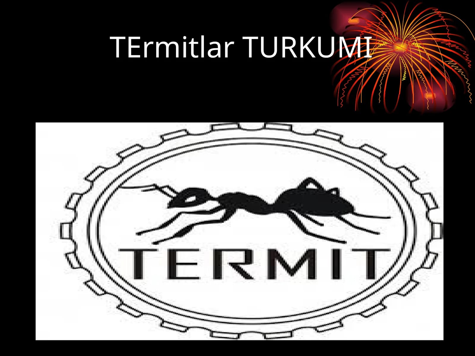 Termitlar TURKUMI