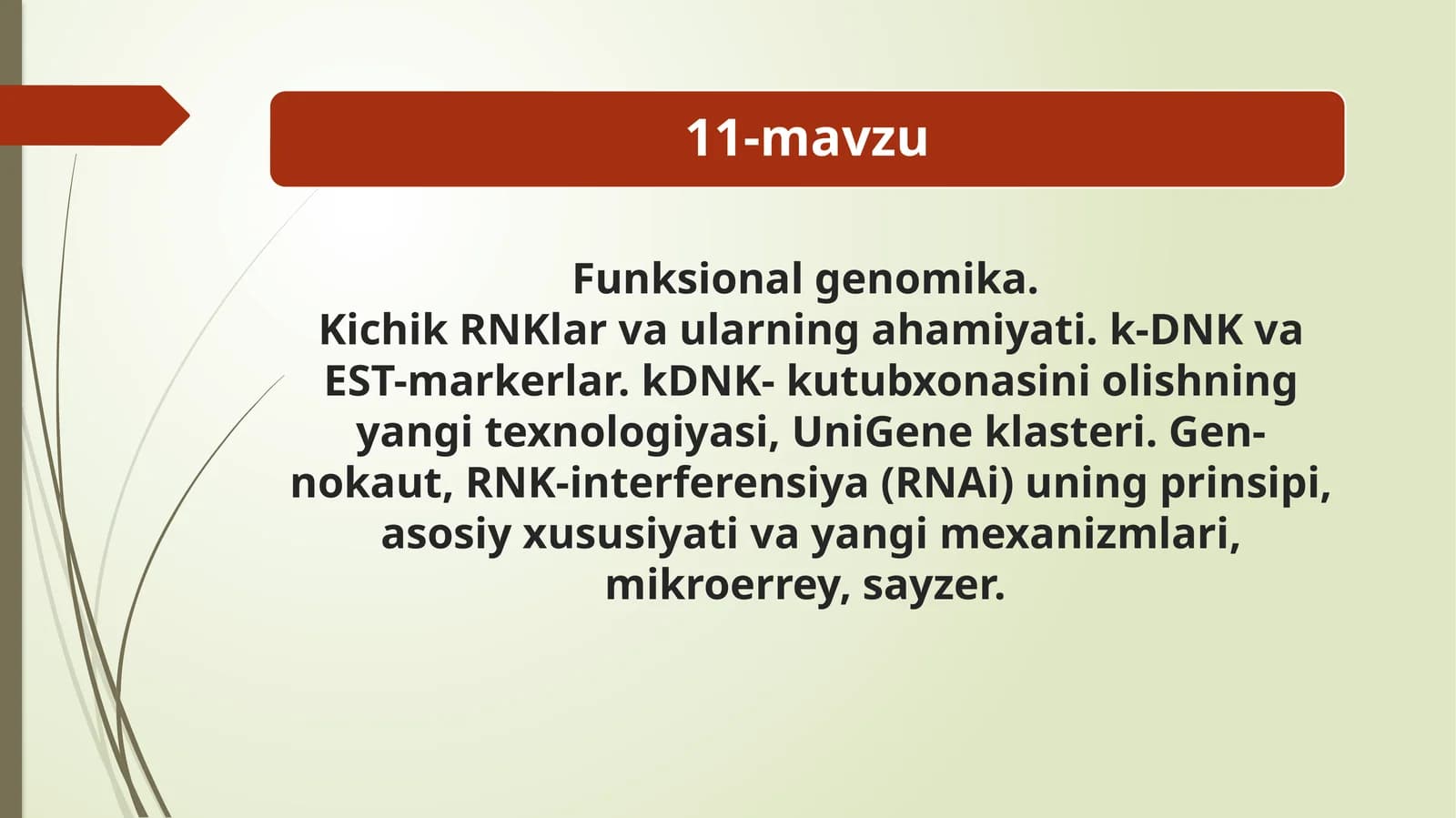 Funksional genomika