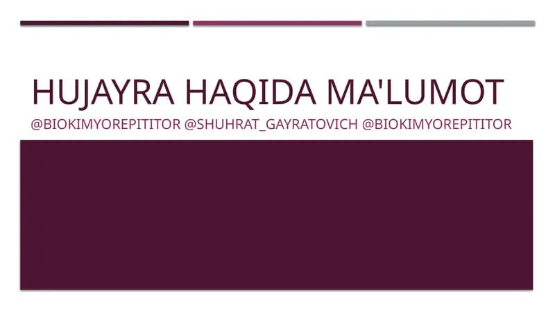 HUJAYRA HAQIDA MA'LUMOT