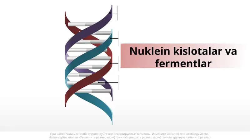 Nukleinkislotalar